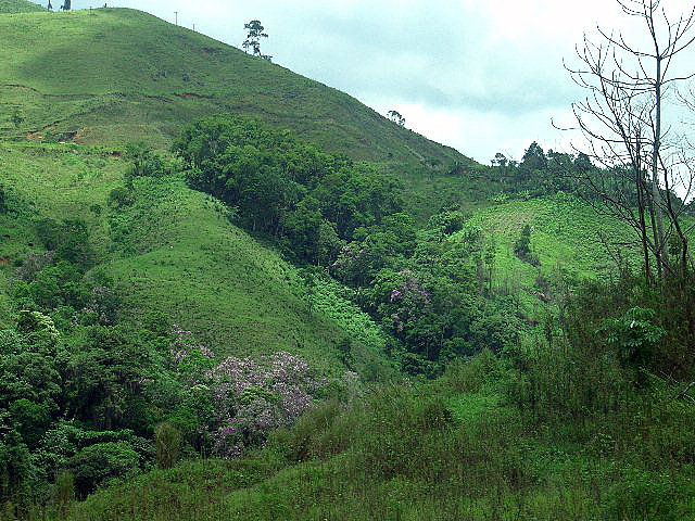a person is walking up a hill covered in green grass