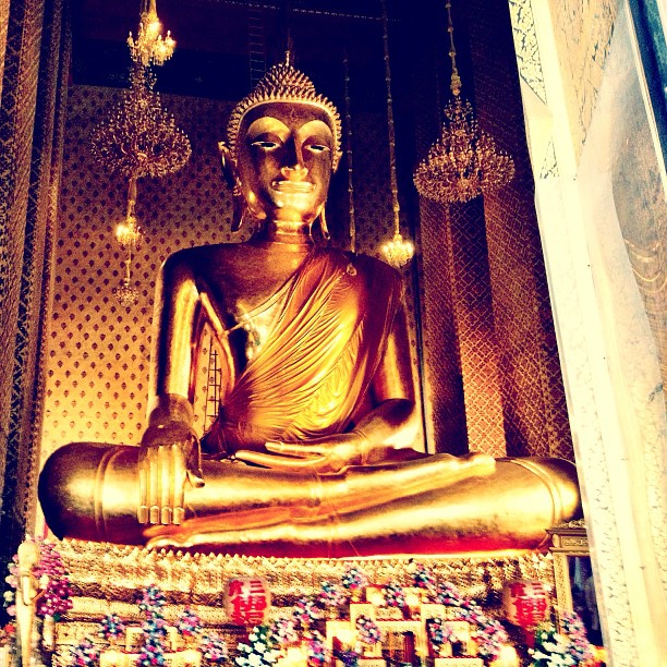a gold buddha statue inside of a building