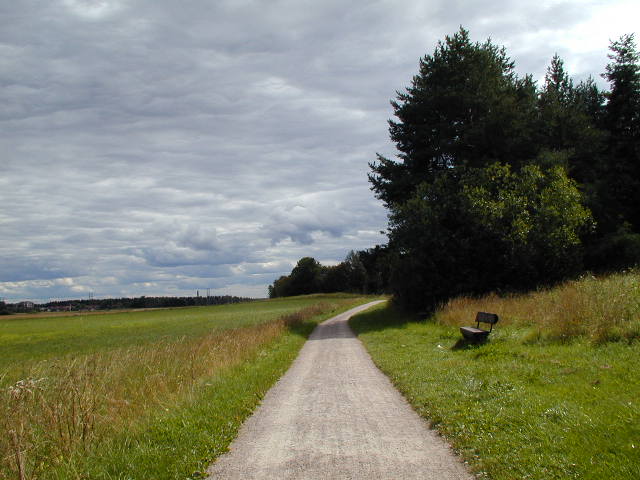 a paved road in the middle of a green field