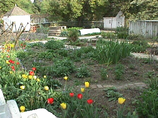 a patch full of flowers sitting in the middle of a yard