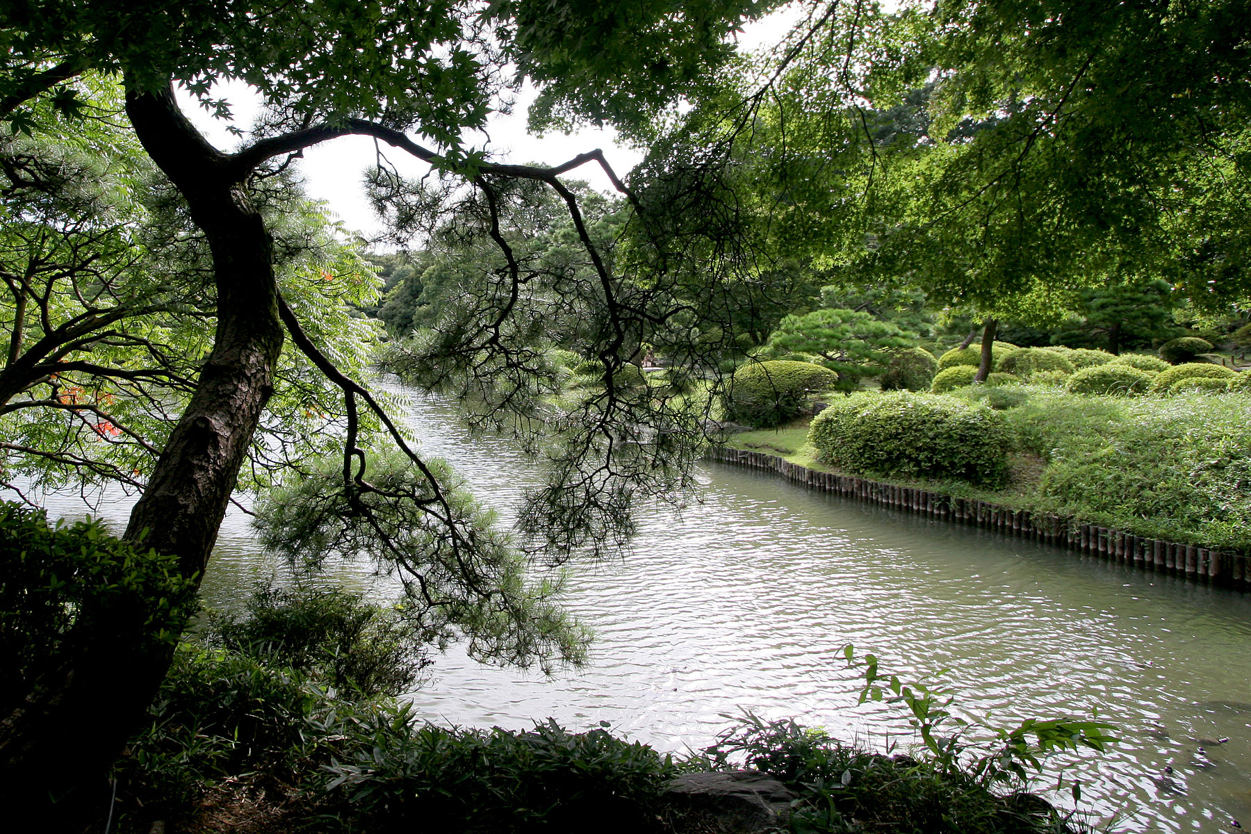 a small waterway surrounded by trees on both sides