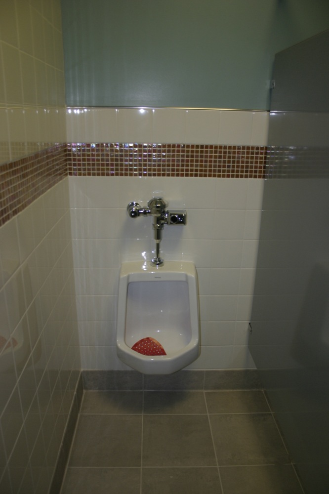 a urinal and toilet bowl in a public restroom