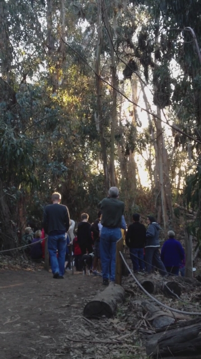 a group of people walking down a wooded trail
