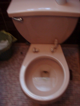 an open toilet on a bathroom floor with brown tile