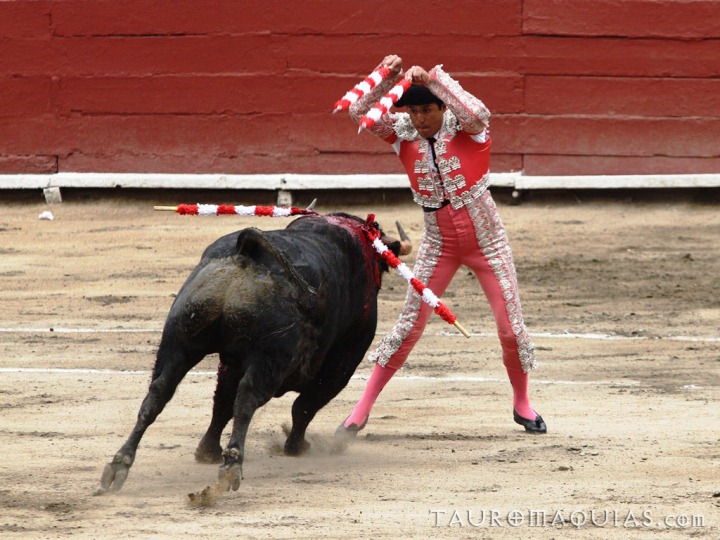 a person with a bull in a circus ring