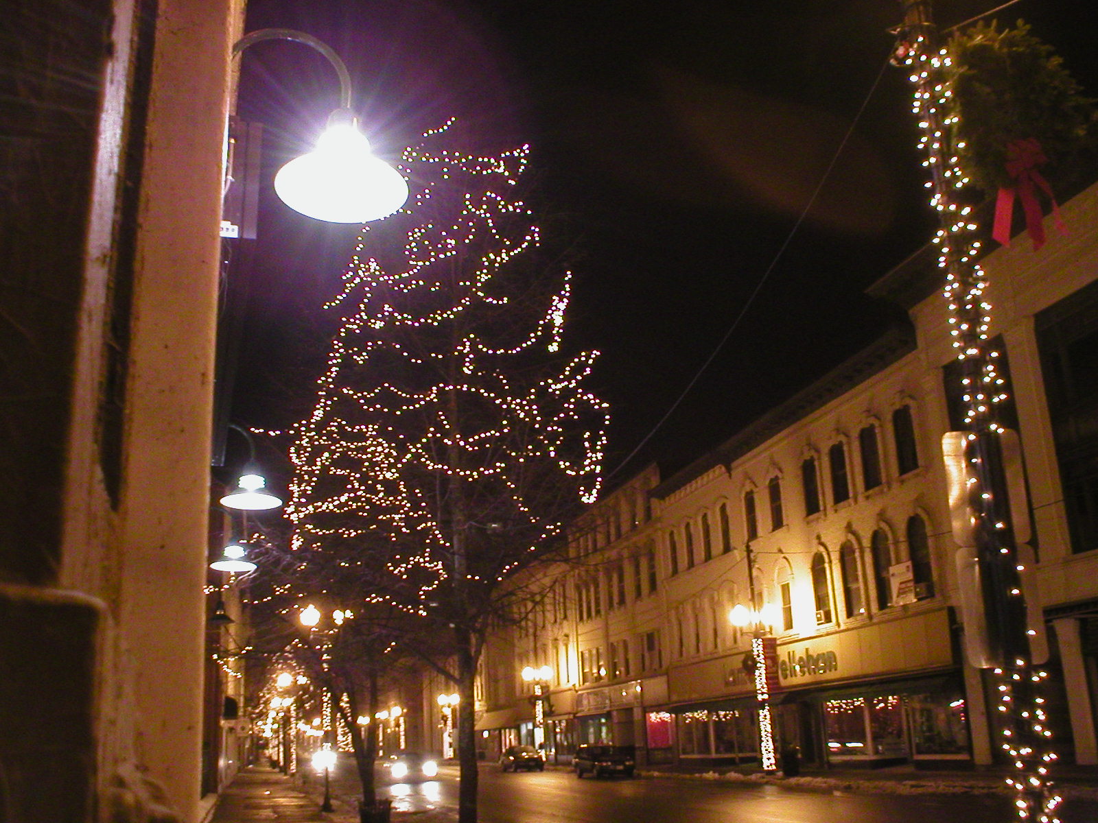 street lights decorate the tree along this town center