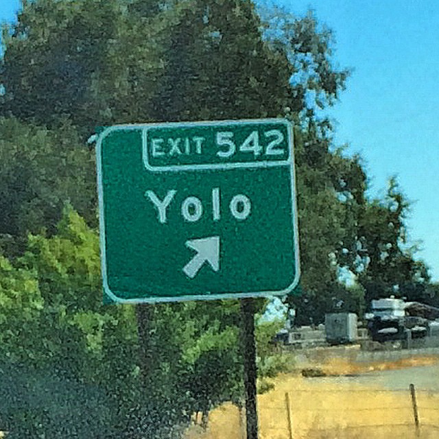 green street sign pointing in direction to yolo next to trees