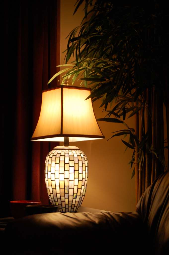 a plant with green leaves is lit in front of a lamp