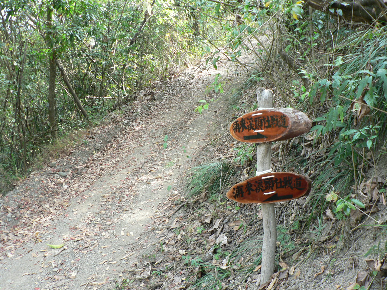 two signs pointing to three directions in the woods