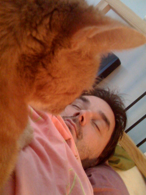 a dog licks a man with a nose as he lays on a bed