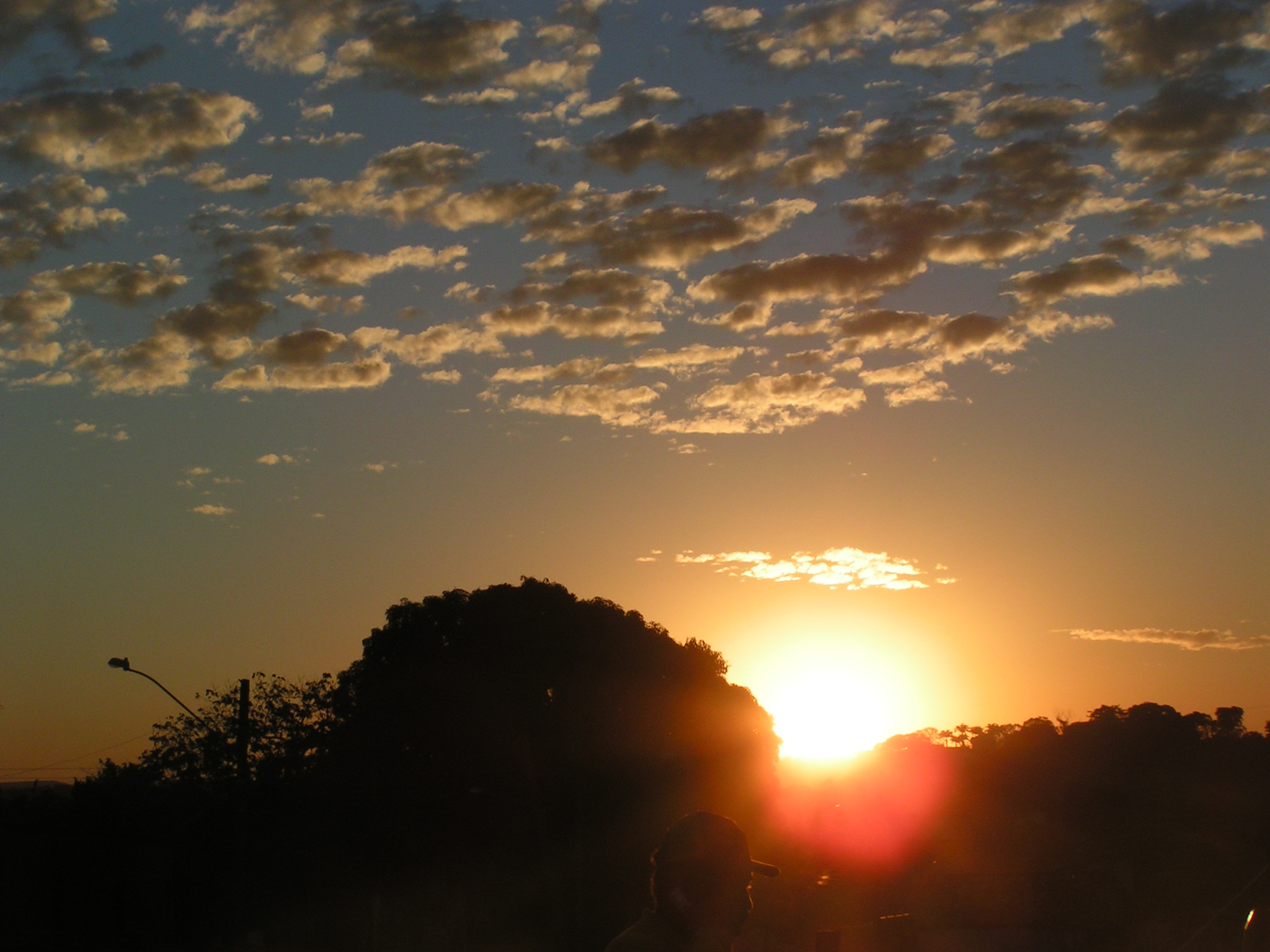 the sun setting over trees with clouds overhead