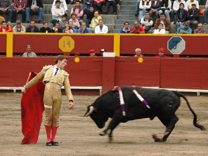a man in yellow and red with a bull in front of a red wall