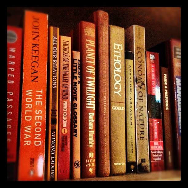 books are on a shelf with orange books