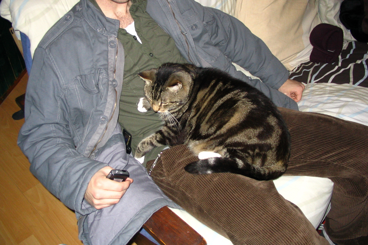 man sitting on a sofa with a cat and remote control
