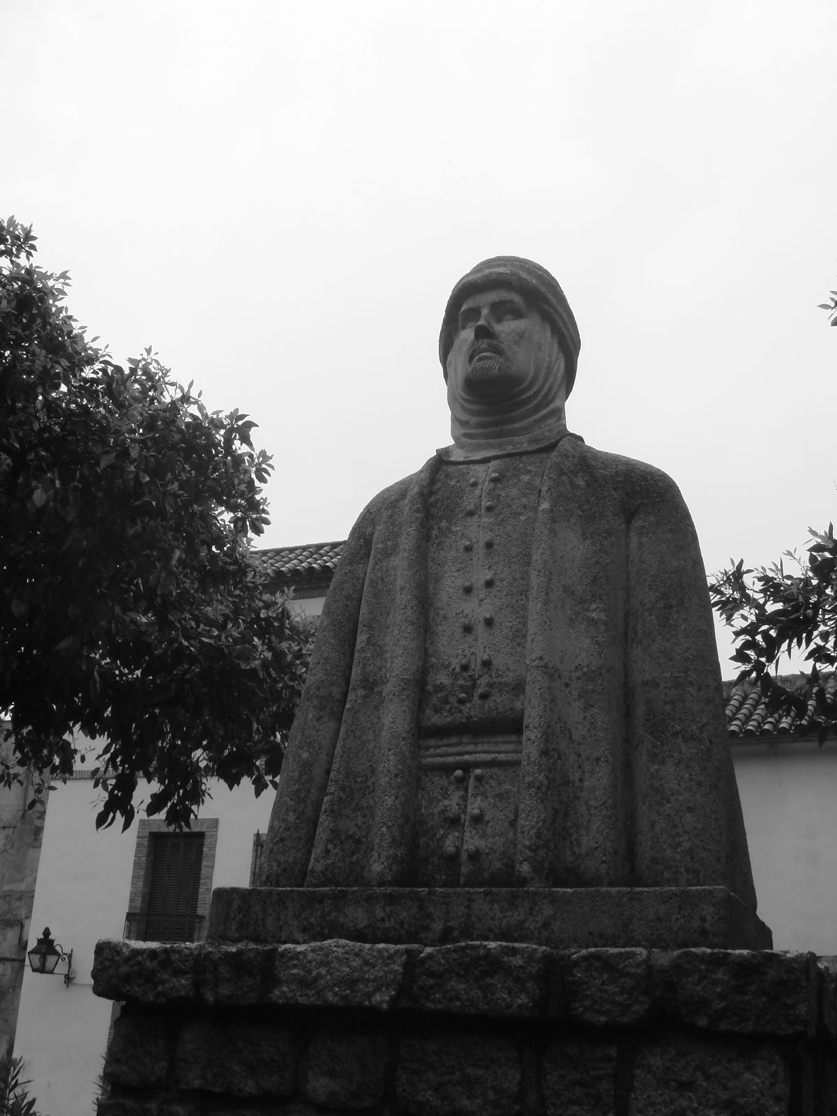 a statue that is in front of some trees