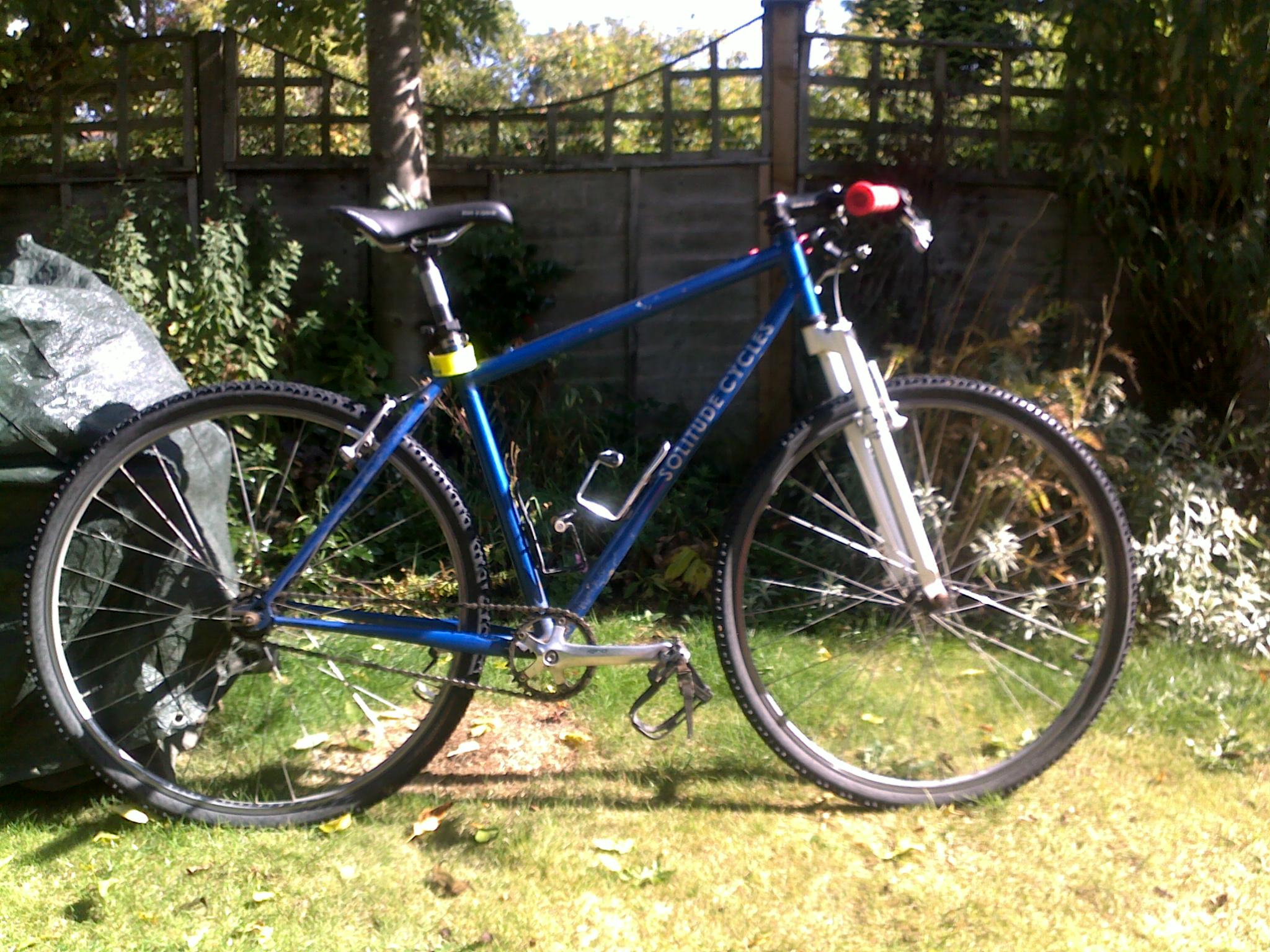 a blue bicycle parked on a grassy area