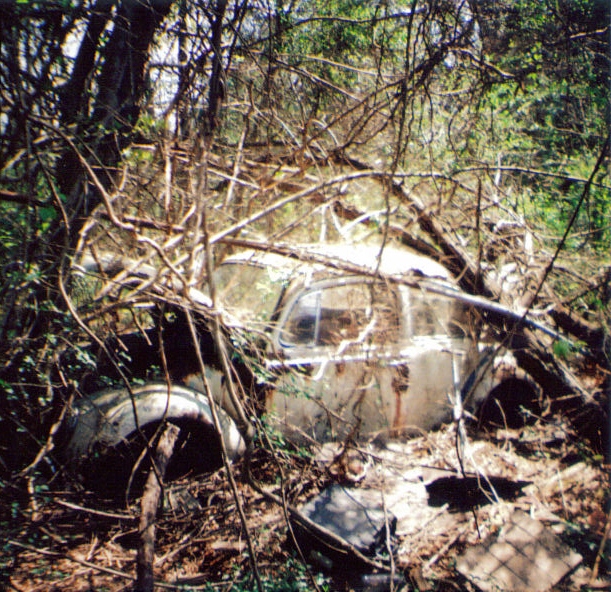 an old run down car in a wooded area