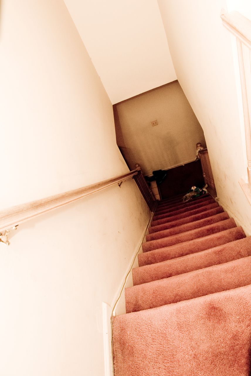 red carpeted stairs leading to a room with white walls