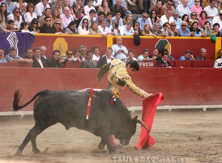a bull and a man are at the end of a fight
