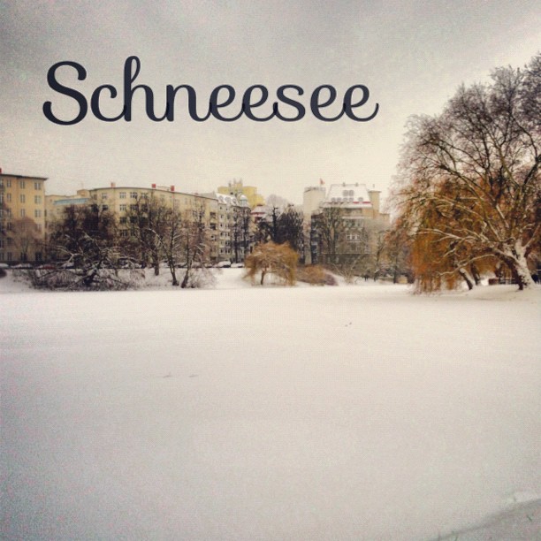 a picture is seen with the words schnese over the top