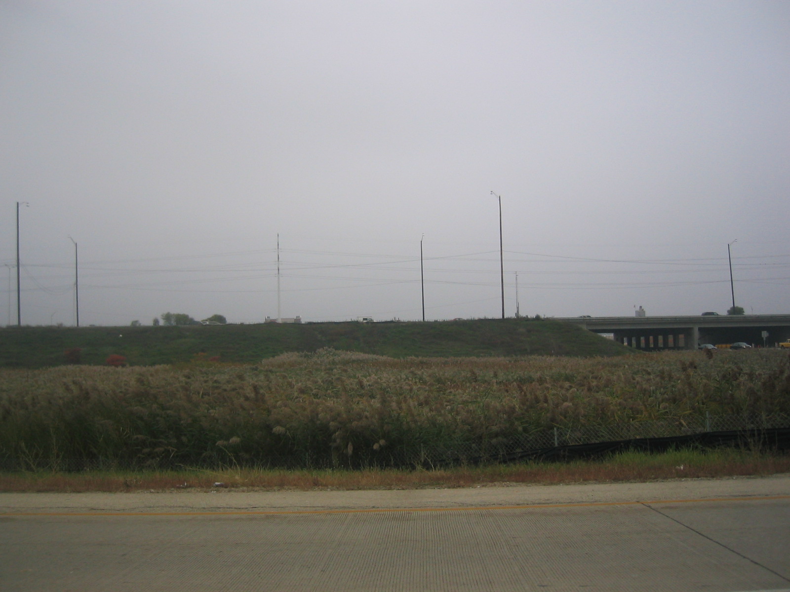 some power poles are in the distance and telephone wires are in the background