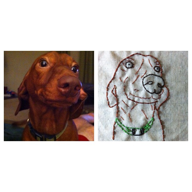 an embroideryed dog and another po of it