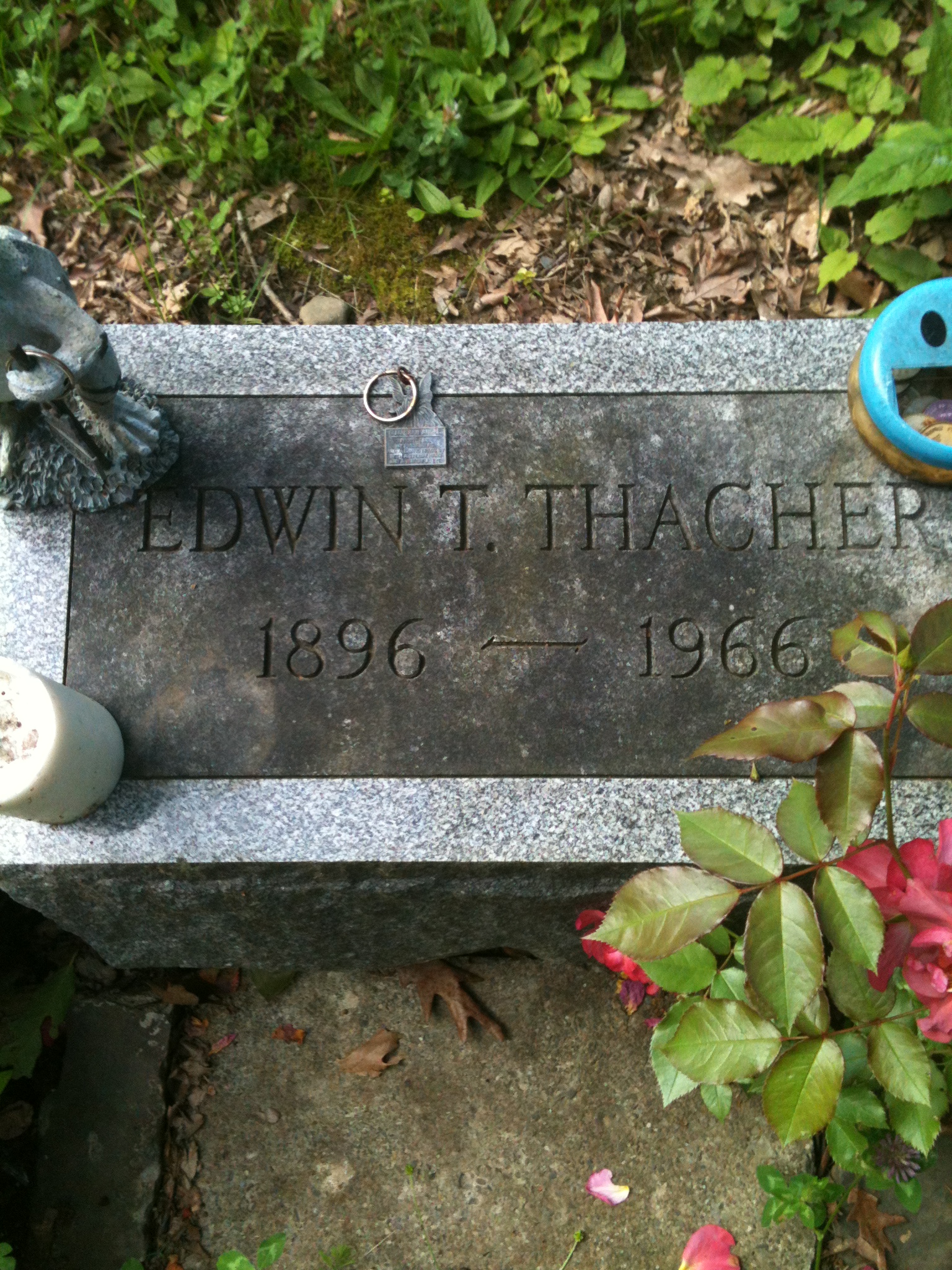 a headstone sits near some flowers and plants