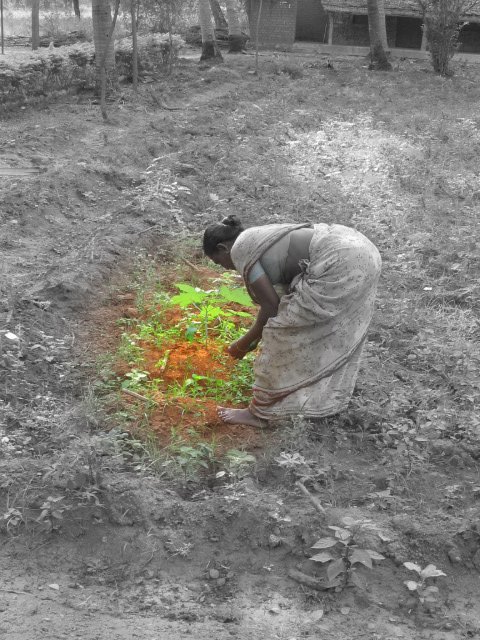 a woman is kneeling down and picking soing up