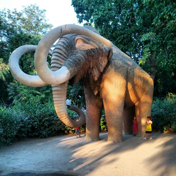 an elephant statue with huge, ivory tusks in a zoo setting