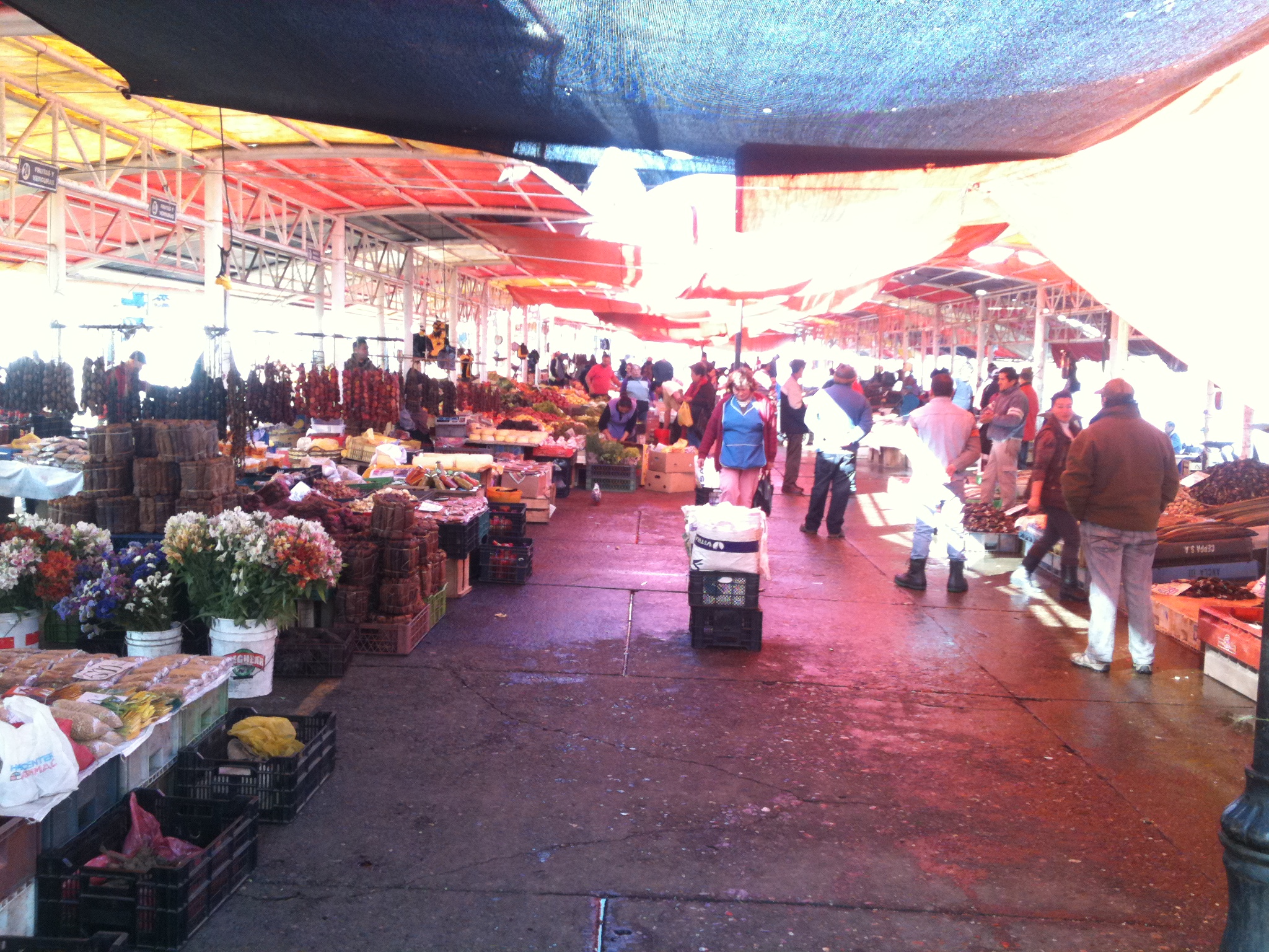 market area with umbrellas and flower stand