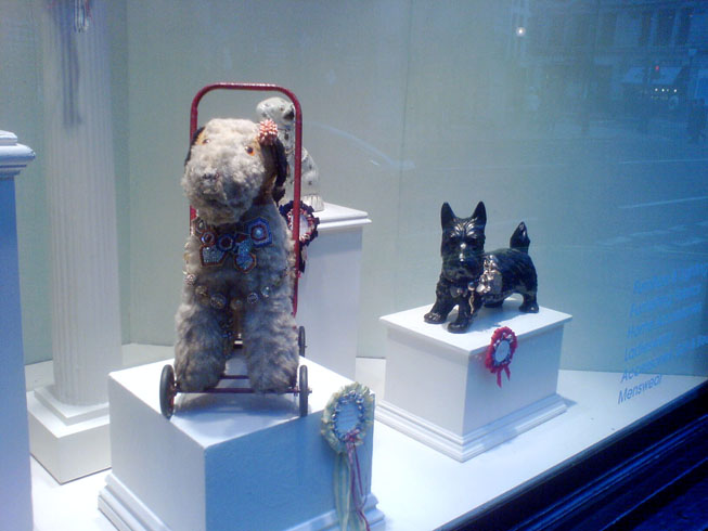 a display window displays a stuffed dog with a toy walker and other items