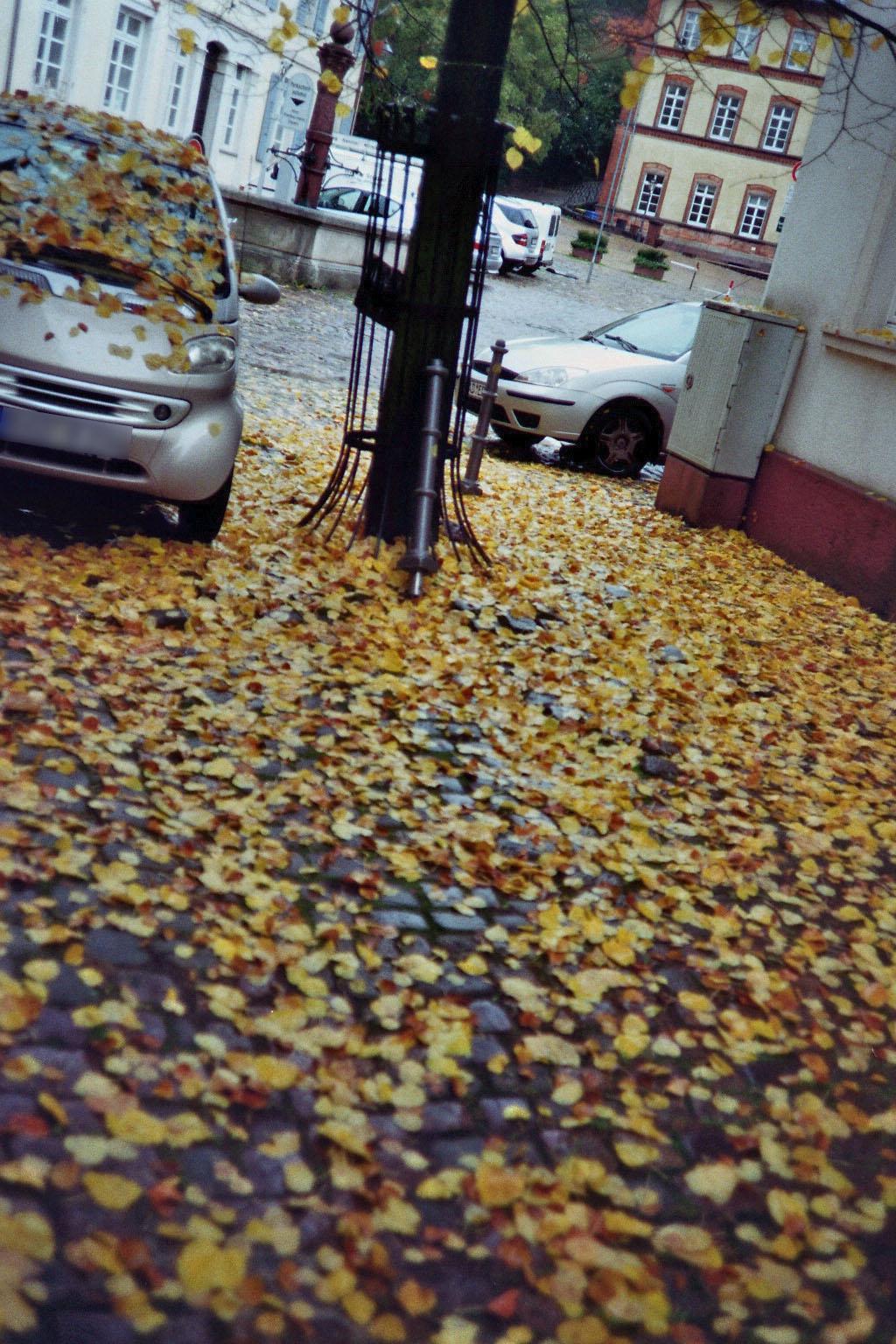 a van parked on a city street next to fall colored leaves