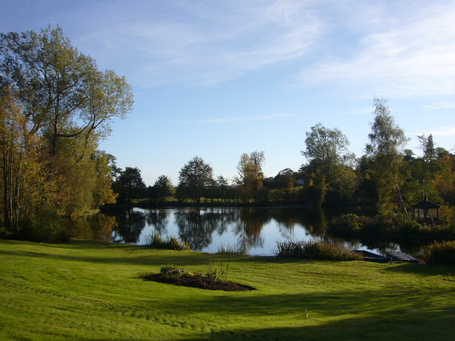 a large field next to a lake in a park