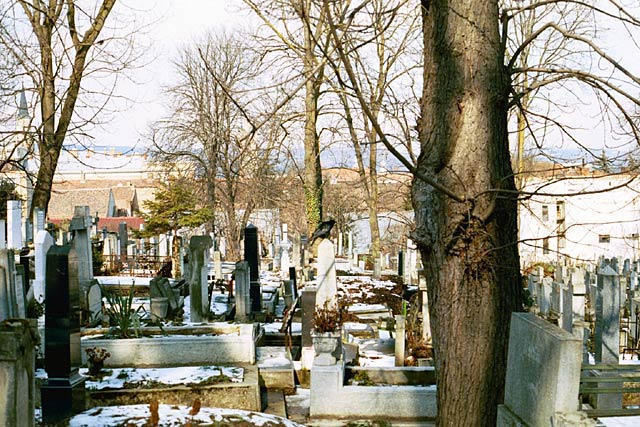 many headstones and graves in the snow