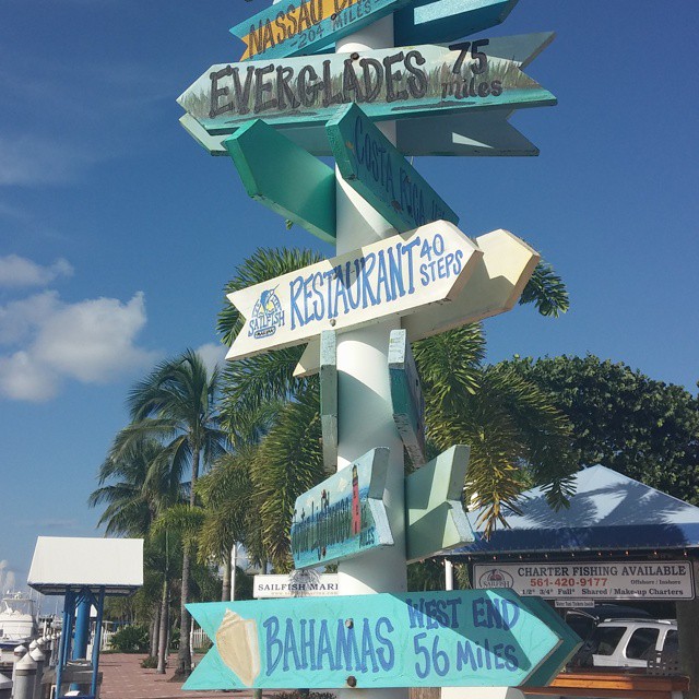 a pole with several signs in front of palm trees