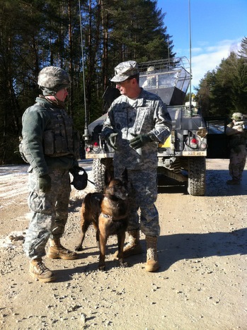 military personnel talking to dogs while on a dirt field