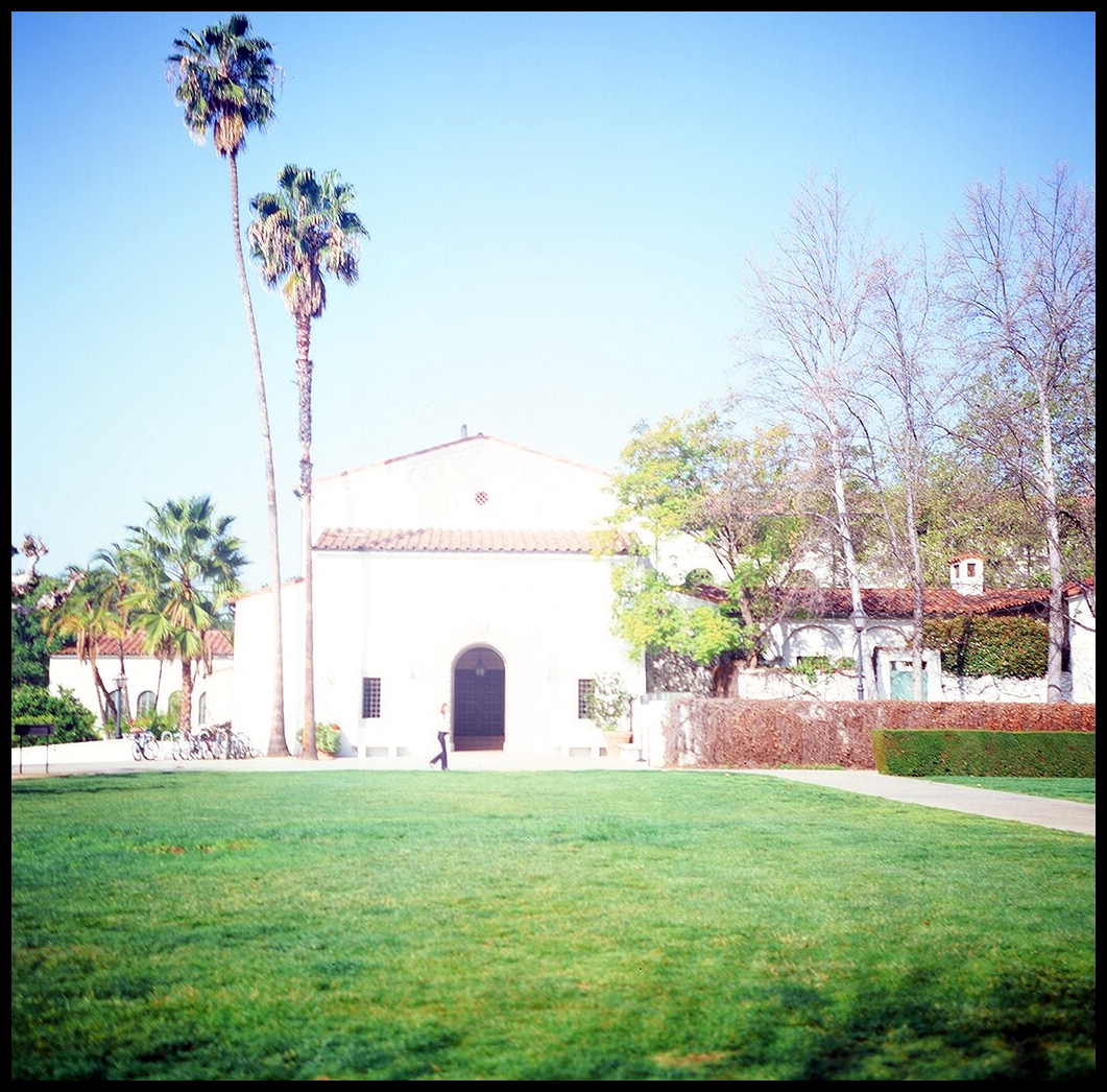 a white building that has trees in the background