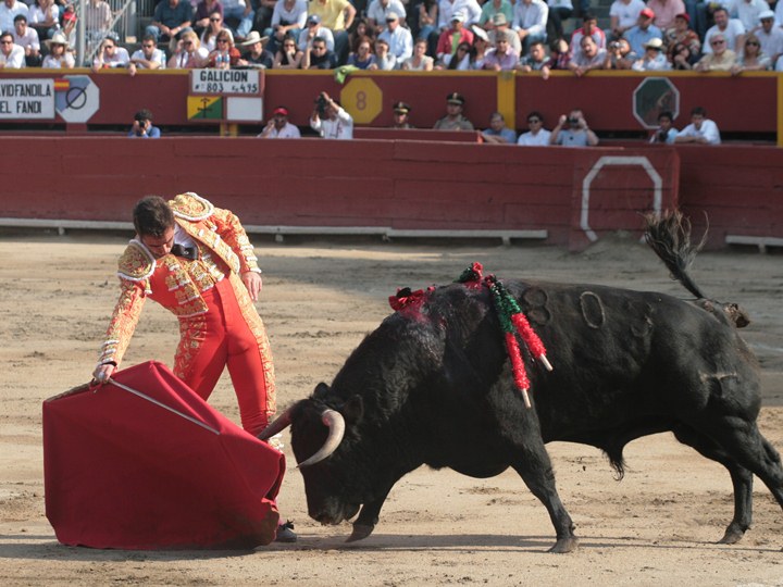 a bullfighter attempting to take the head off of a big black bull