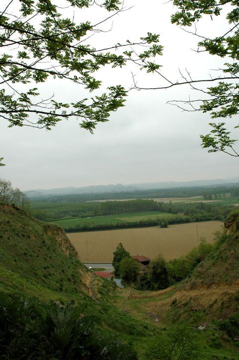the view from the top of a hill with many fields and trees