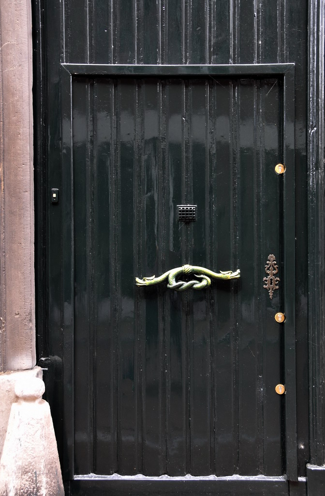 black metal entrance with a ss lock and ornamental decoration