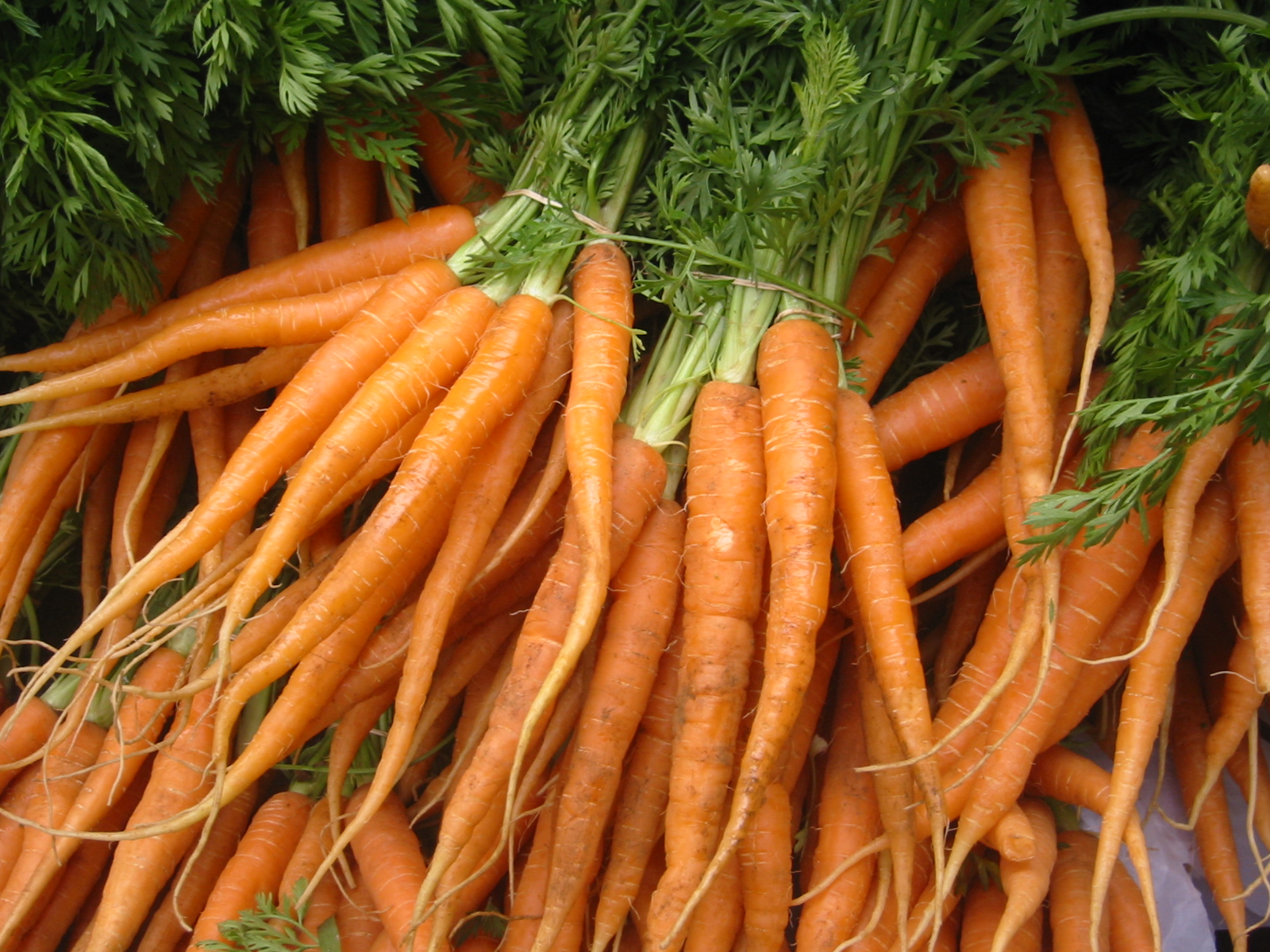 an assortment of carrots at a grocery store