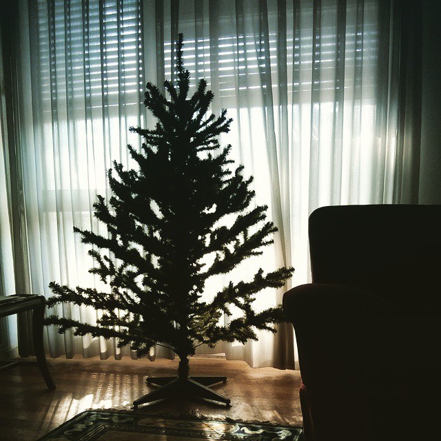 a room with some curtains, a couch and a pine tree in it