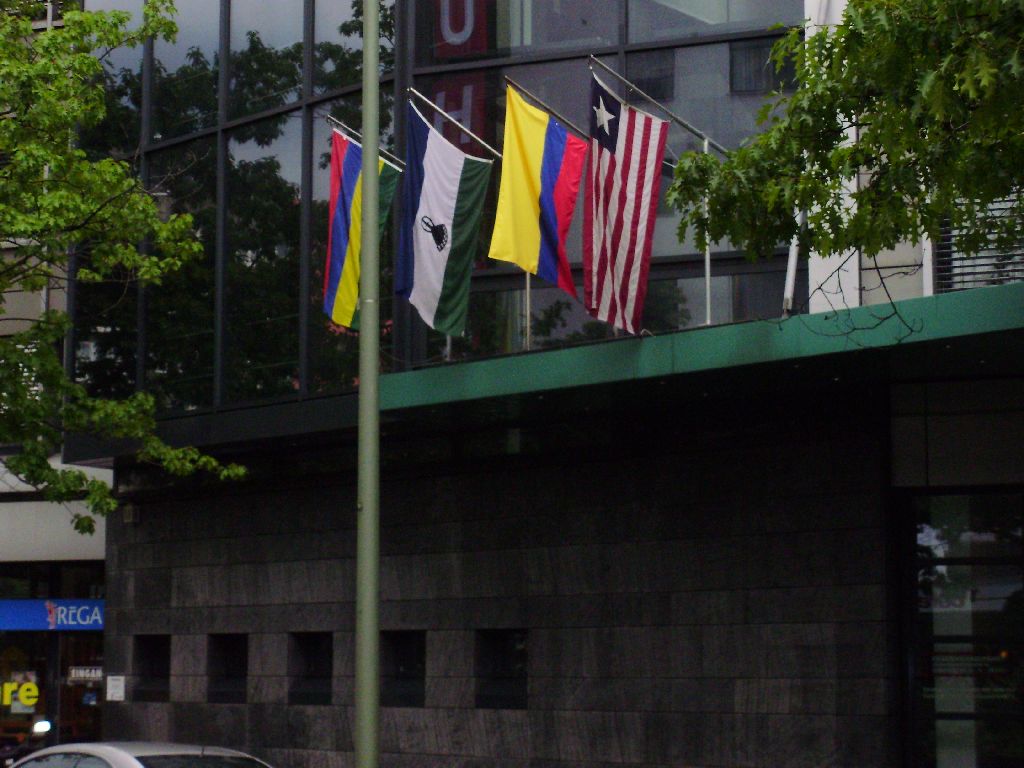 many flags are displayed on a street corner