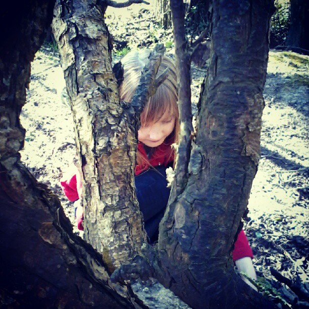 a little girl hiding in a tree next to some woods