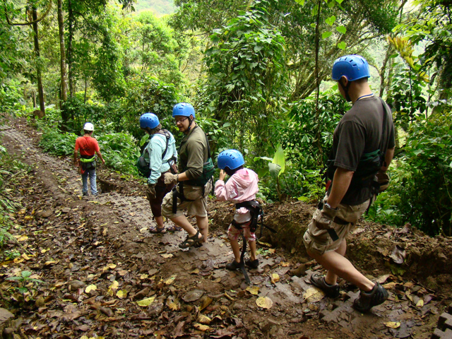 a group of people on a trail surrounded by trees