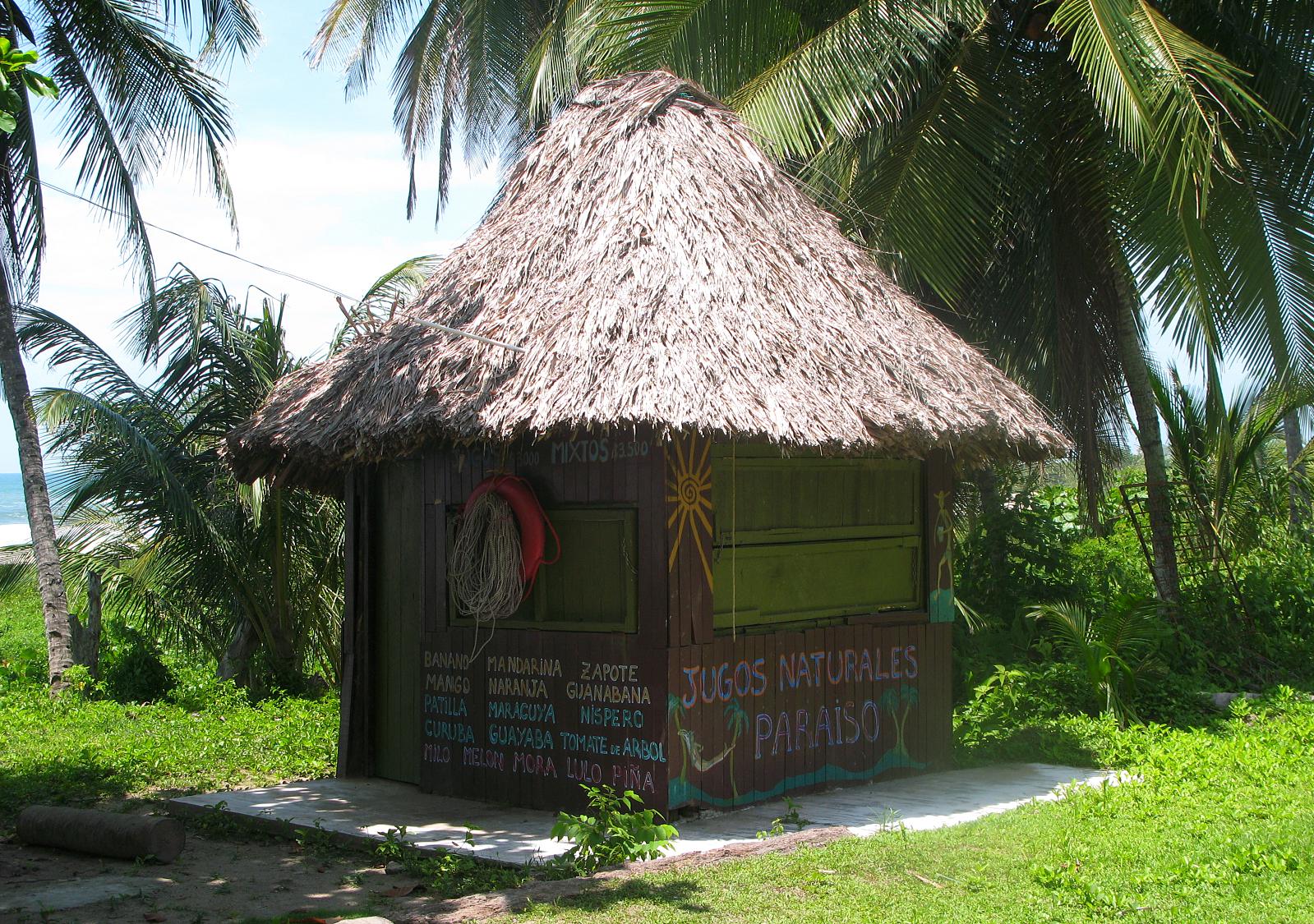 there is a hut with a thatch roof