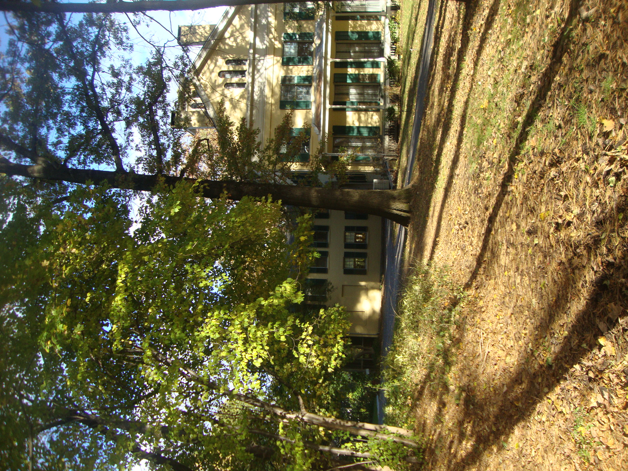 a big house in the middle of a tree lined street