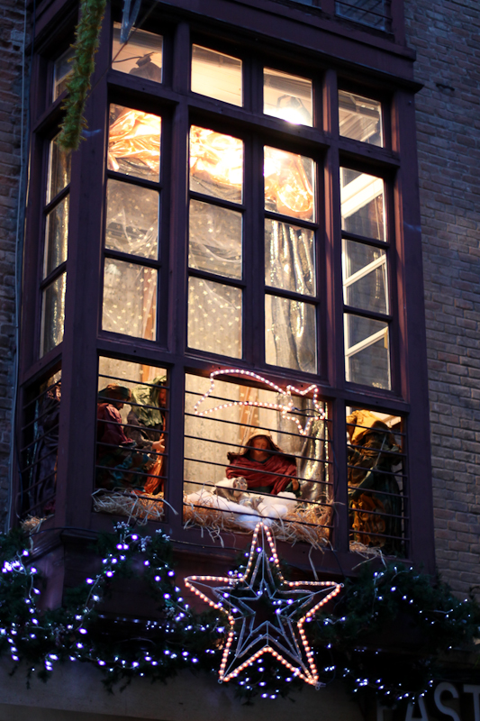 a large dog sitting inside of a window next to a star