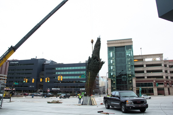 a crane that is holding a tree up above a vehicle