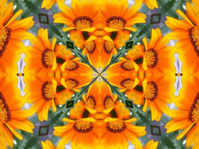 an intricate flower pattern made up of orange flowers